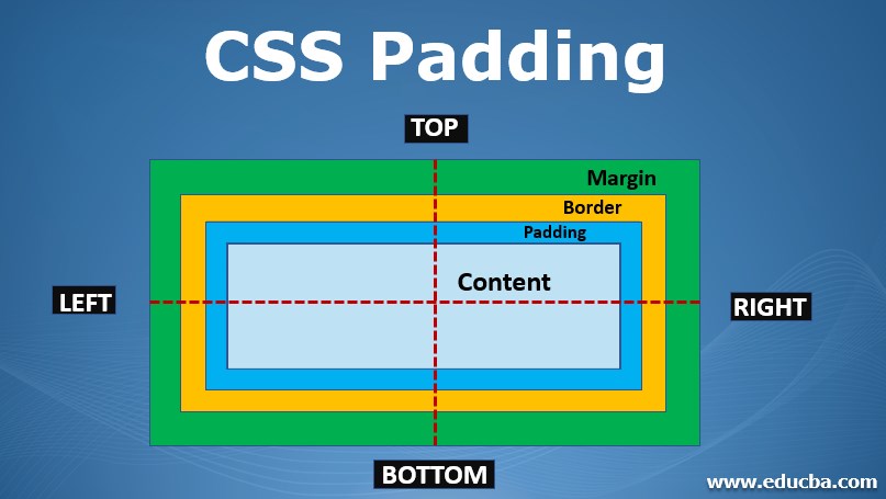 CSS padding