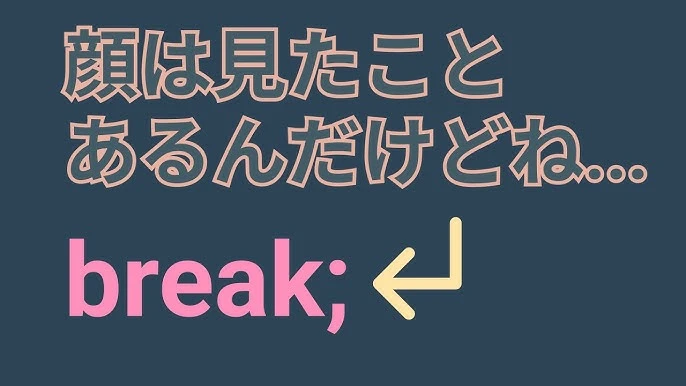 JSのbreakとはどういう意味ですか？