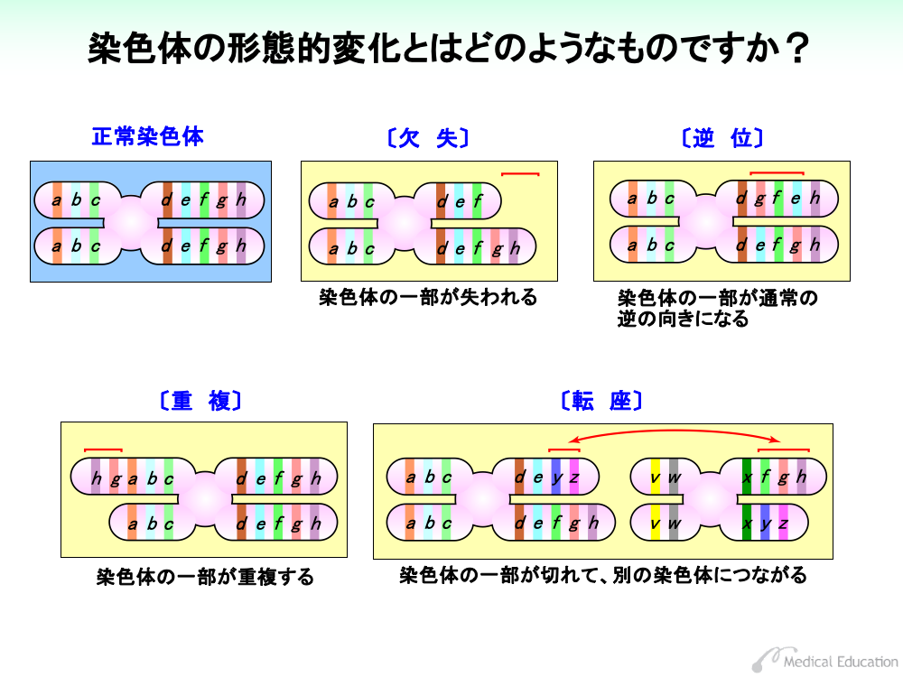 部分配列とは何ですか？